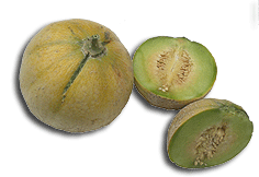 Melone Ramparino